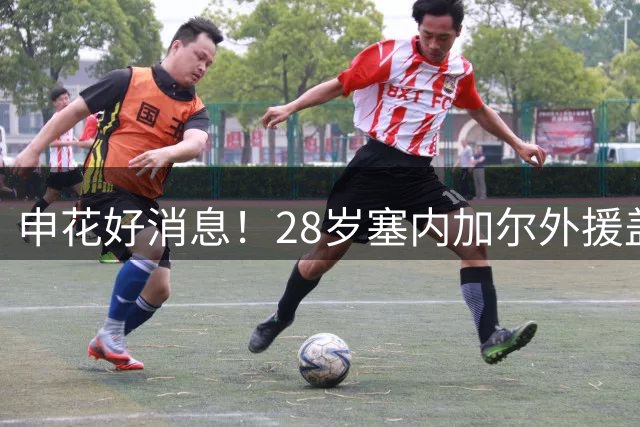 申花好消息！28岁塞内加尔外援盖伊康复良好 上半程7场比赛5个进球