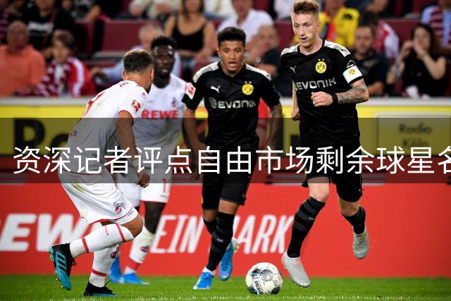 资深记者评点自由市场剩余球星名单